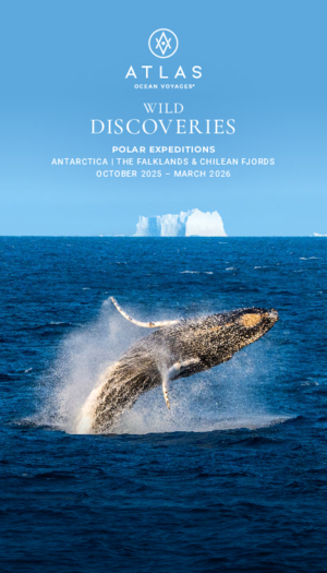 Aov Wild Discoveries 2025 2026